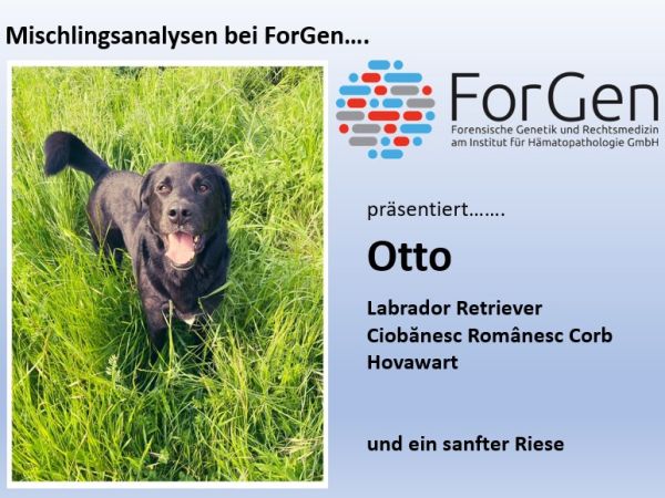 ForGen