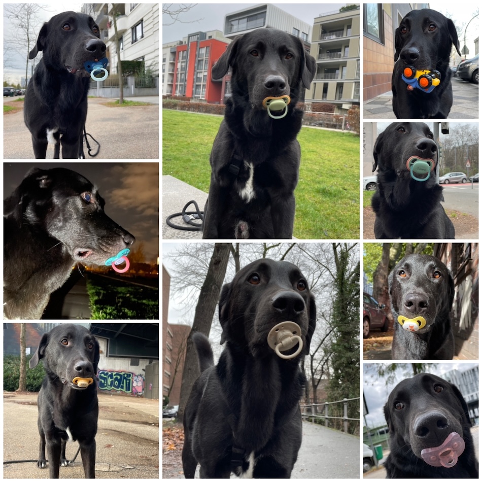 otto6.jpg